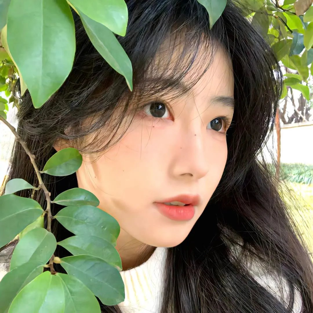 闪乱神乐第一季
